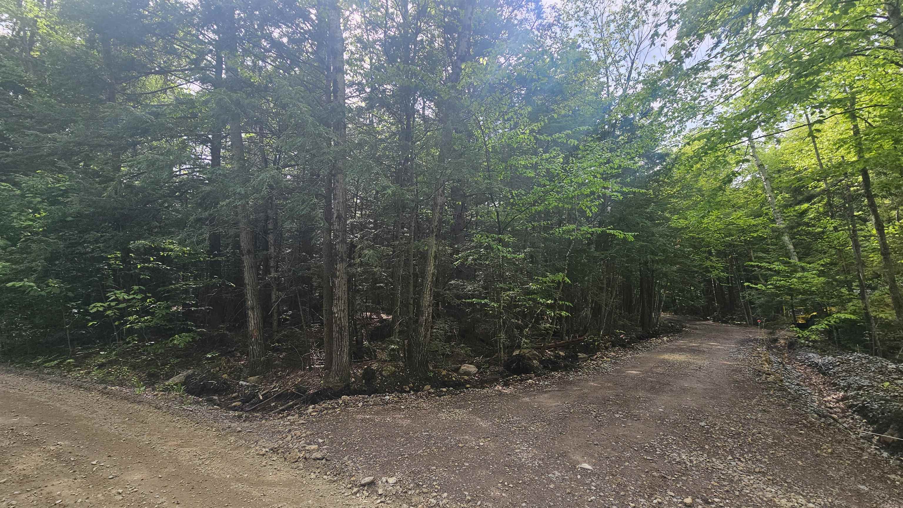 00 Whitney Road