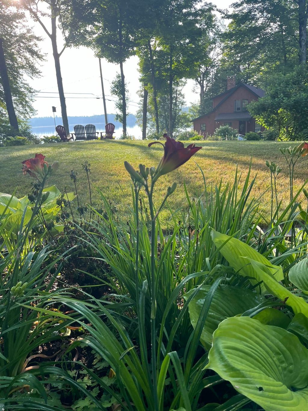 Photo of 586 Bunker Road, New London, NH 03257 (MLS # 5069386)