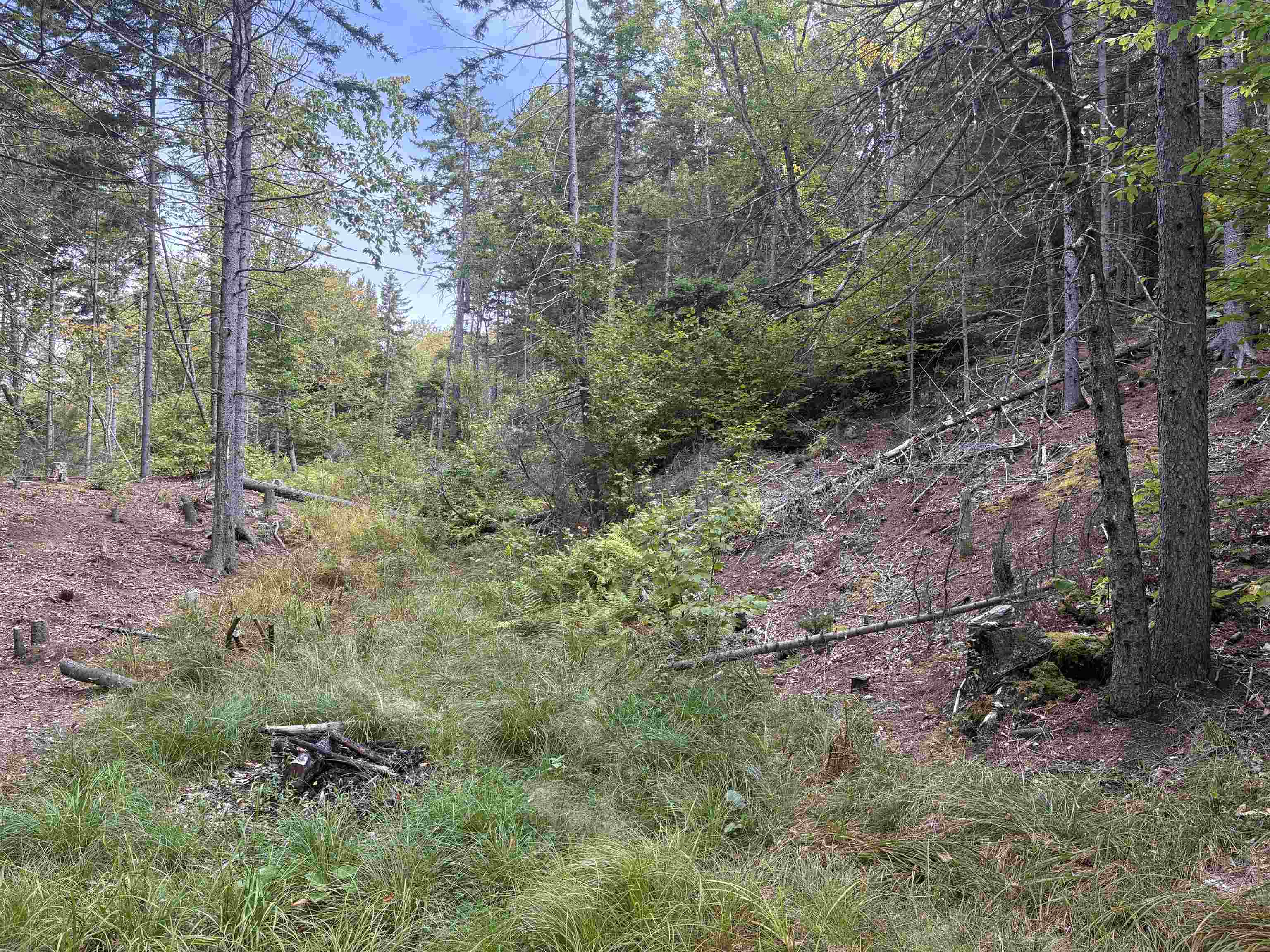 0 Beaver Meadow Road