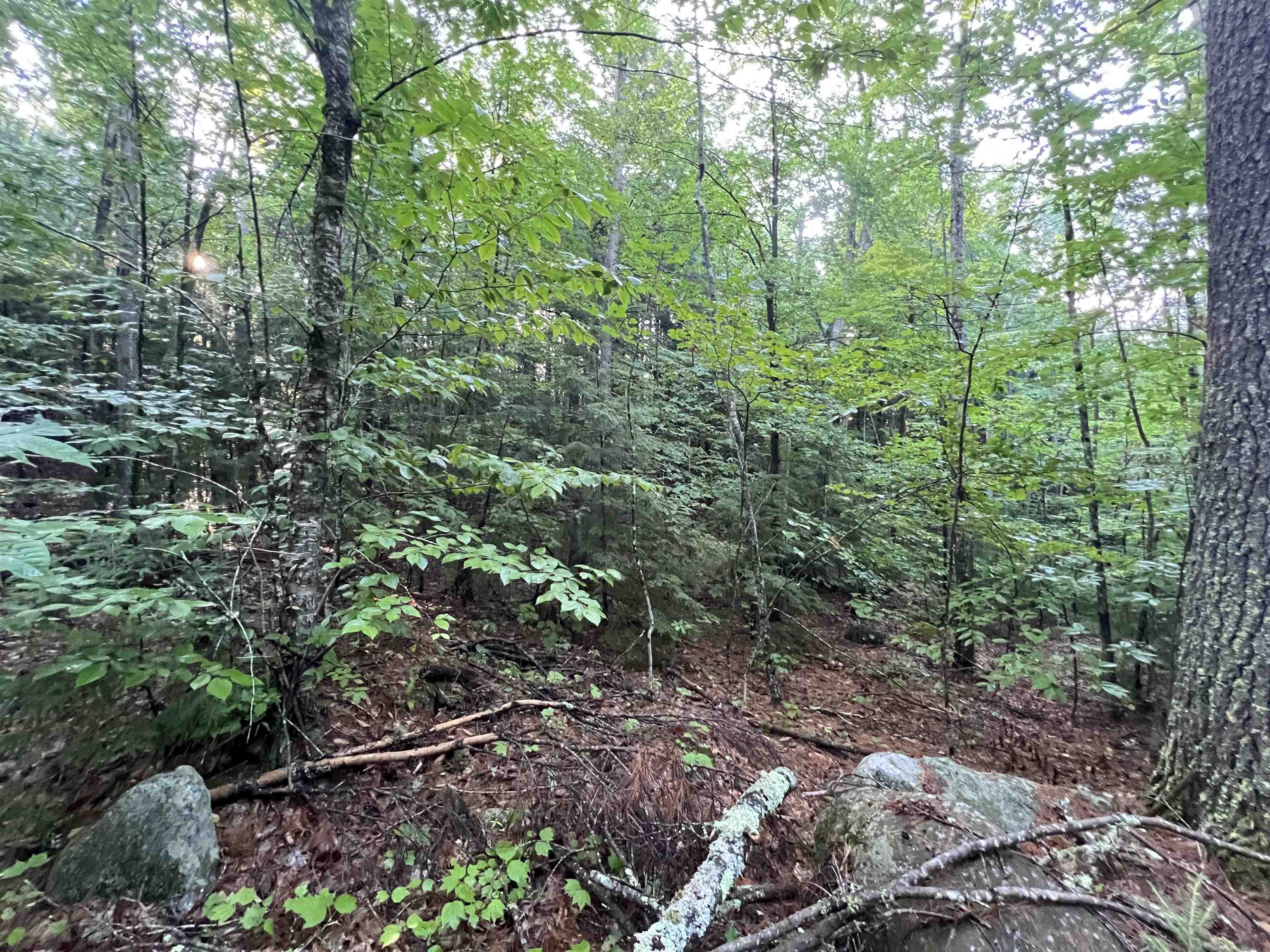 Map 6, Lot 38 Chadwick Hill Road