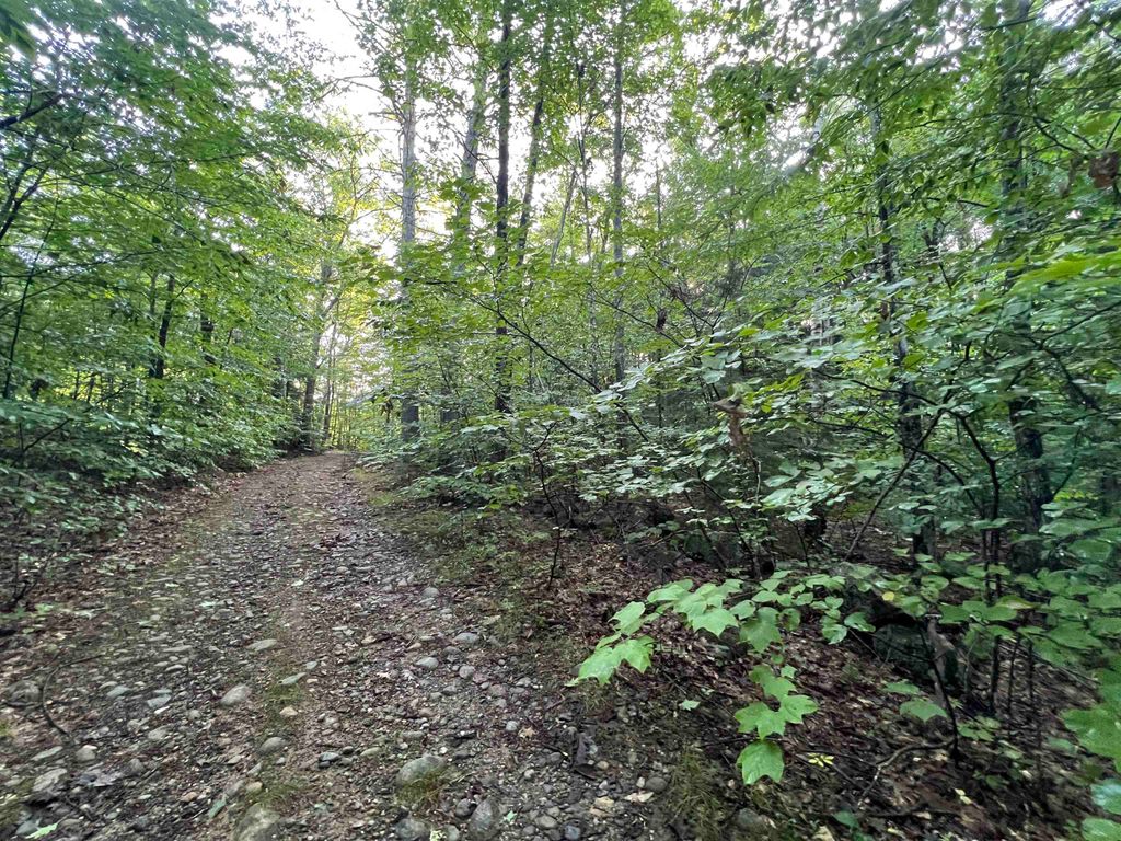 Photo of 638 Chadwick Hill Road, Webster, NH 03303 (MLS # 5007756)