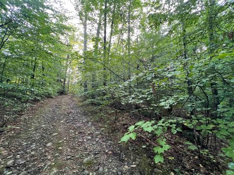 Map 6, Lot 38 Chadwick Hill Road Webster NH 03303