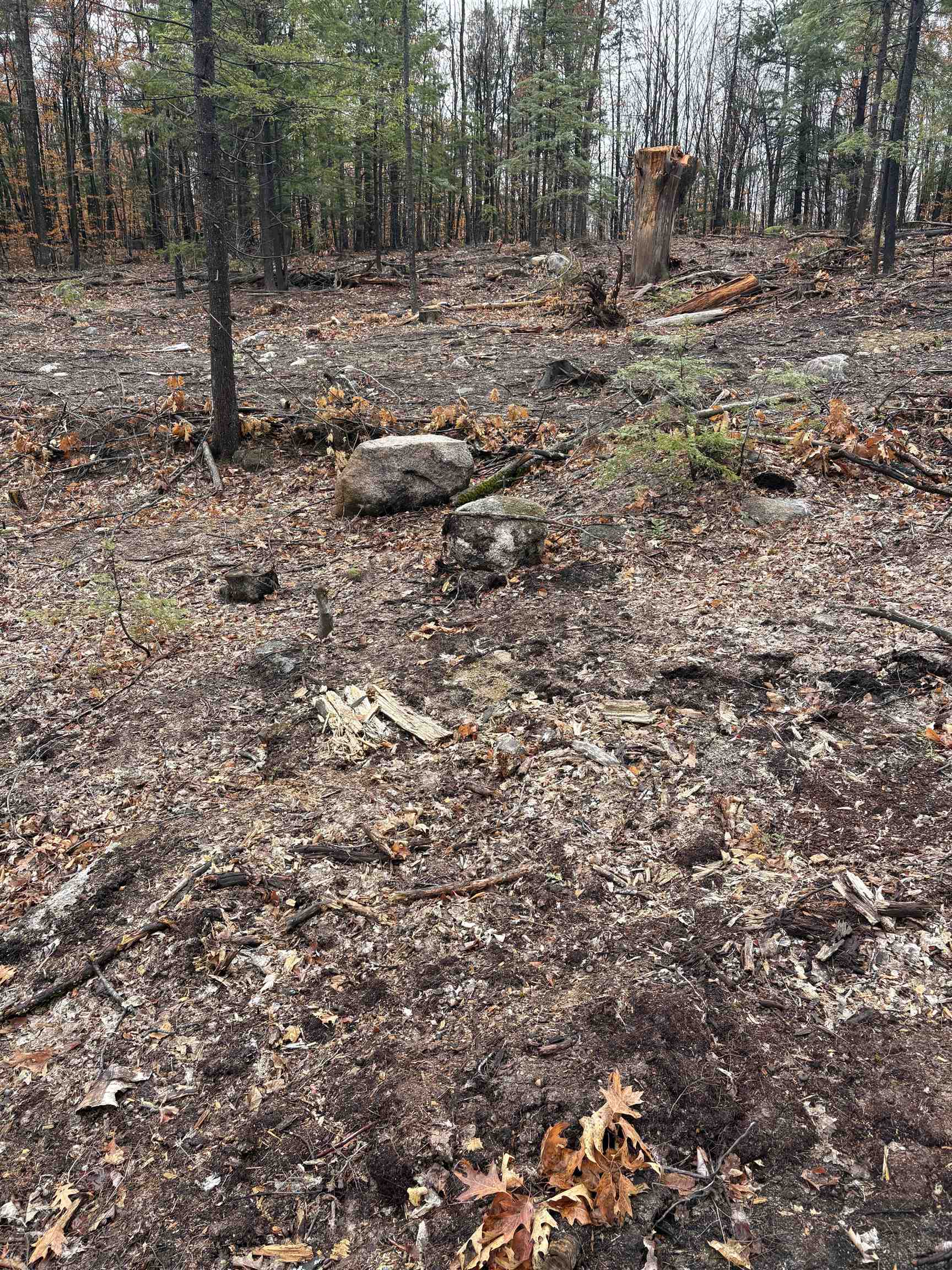 12 Sugarloaf Drive 10