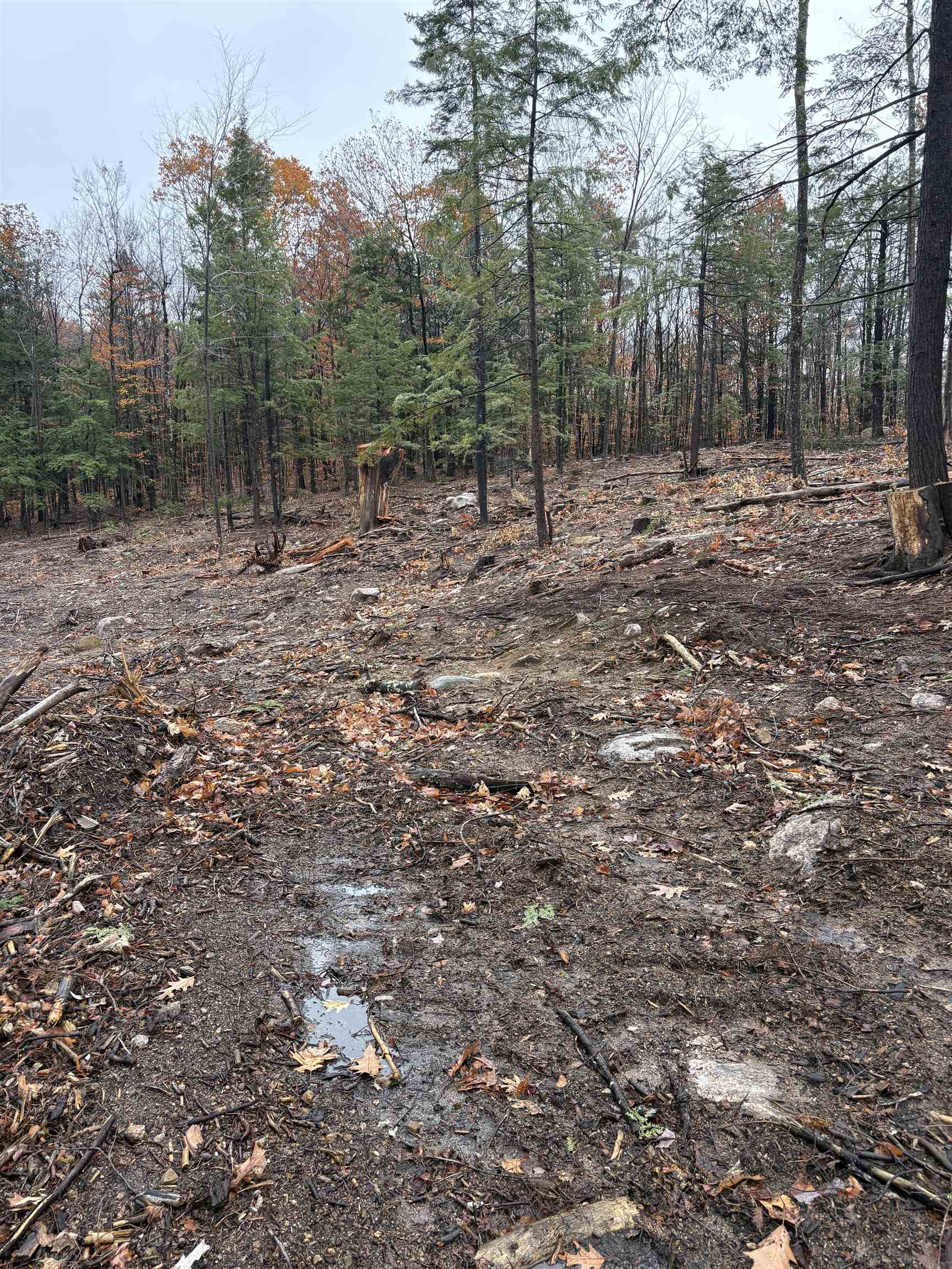 12 Sugarloaf Drive 10