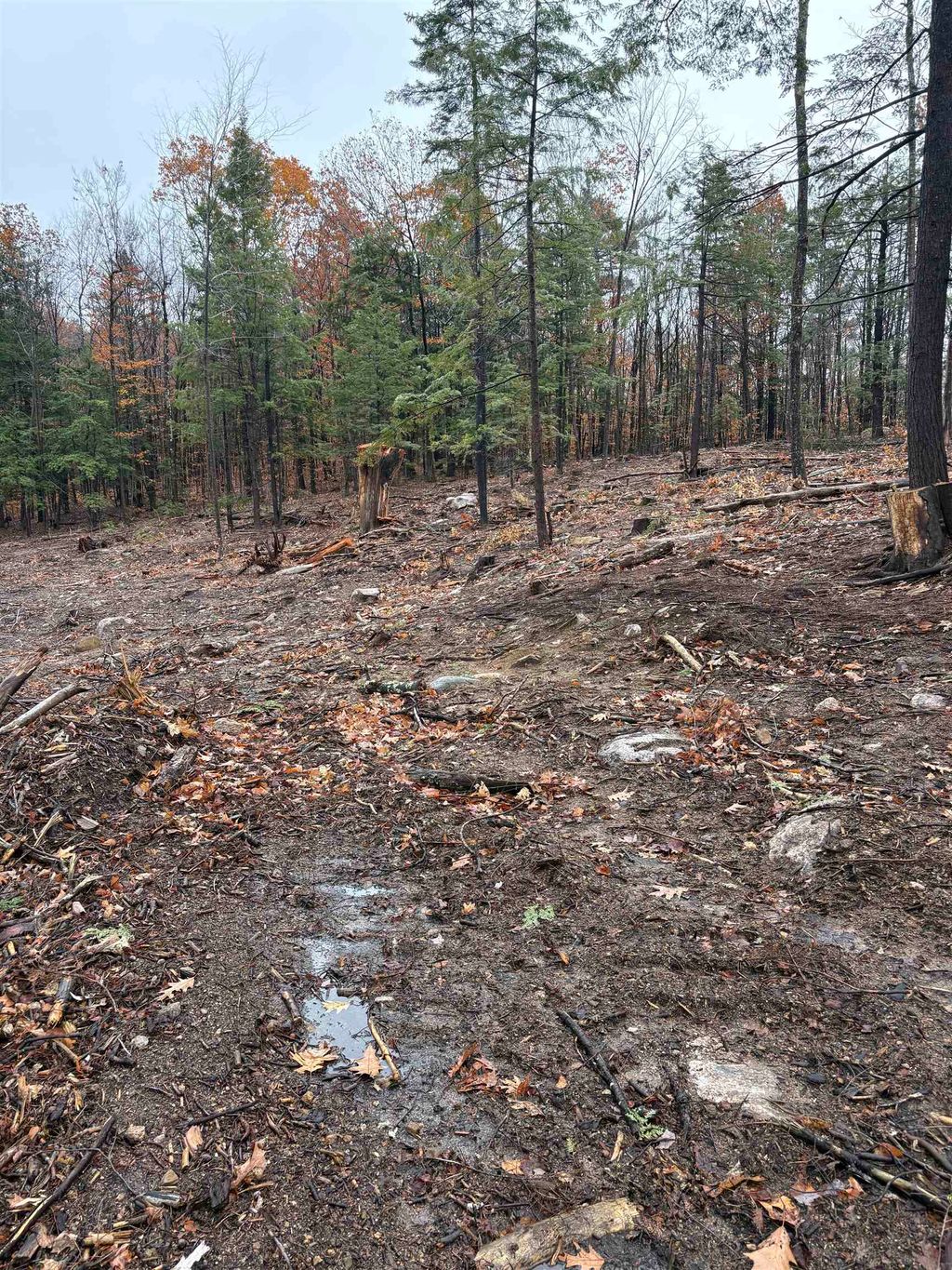 Photo of 12 Sugarloaf Drive #10, Ossipee, NH 03814 (MLS # 5069146)