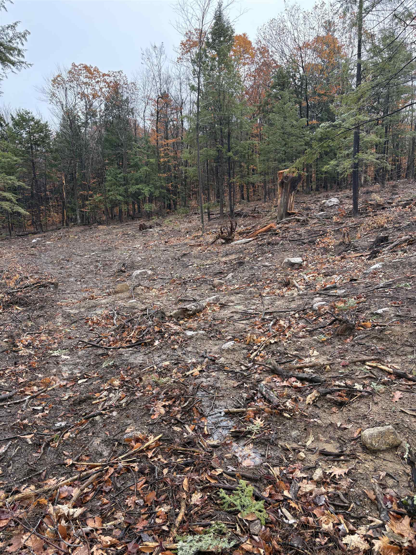 12 Sugarloaf Drive 10