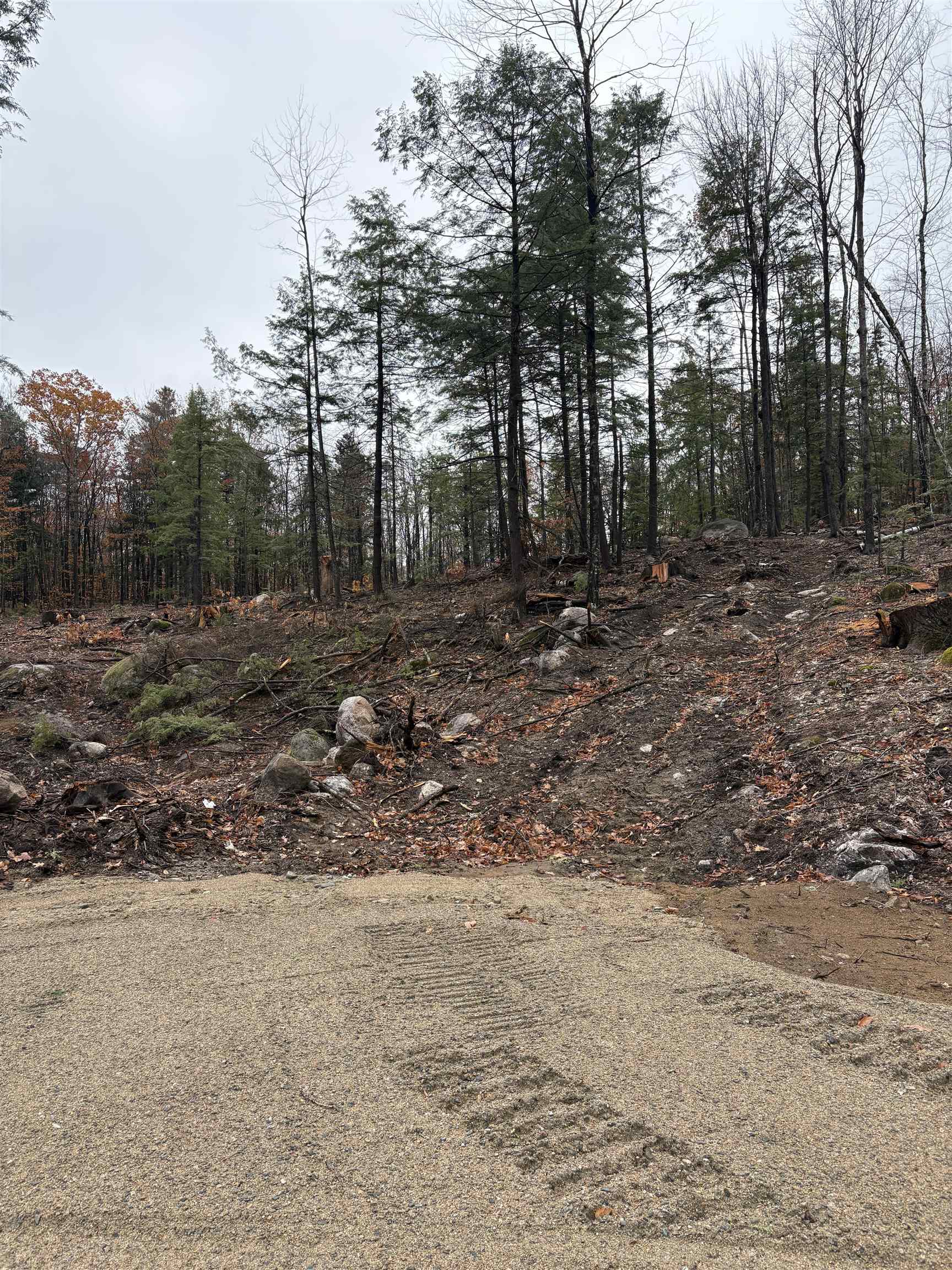 12 Sugarloaf Drive 10