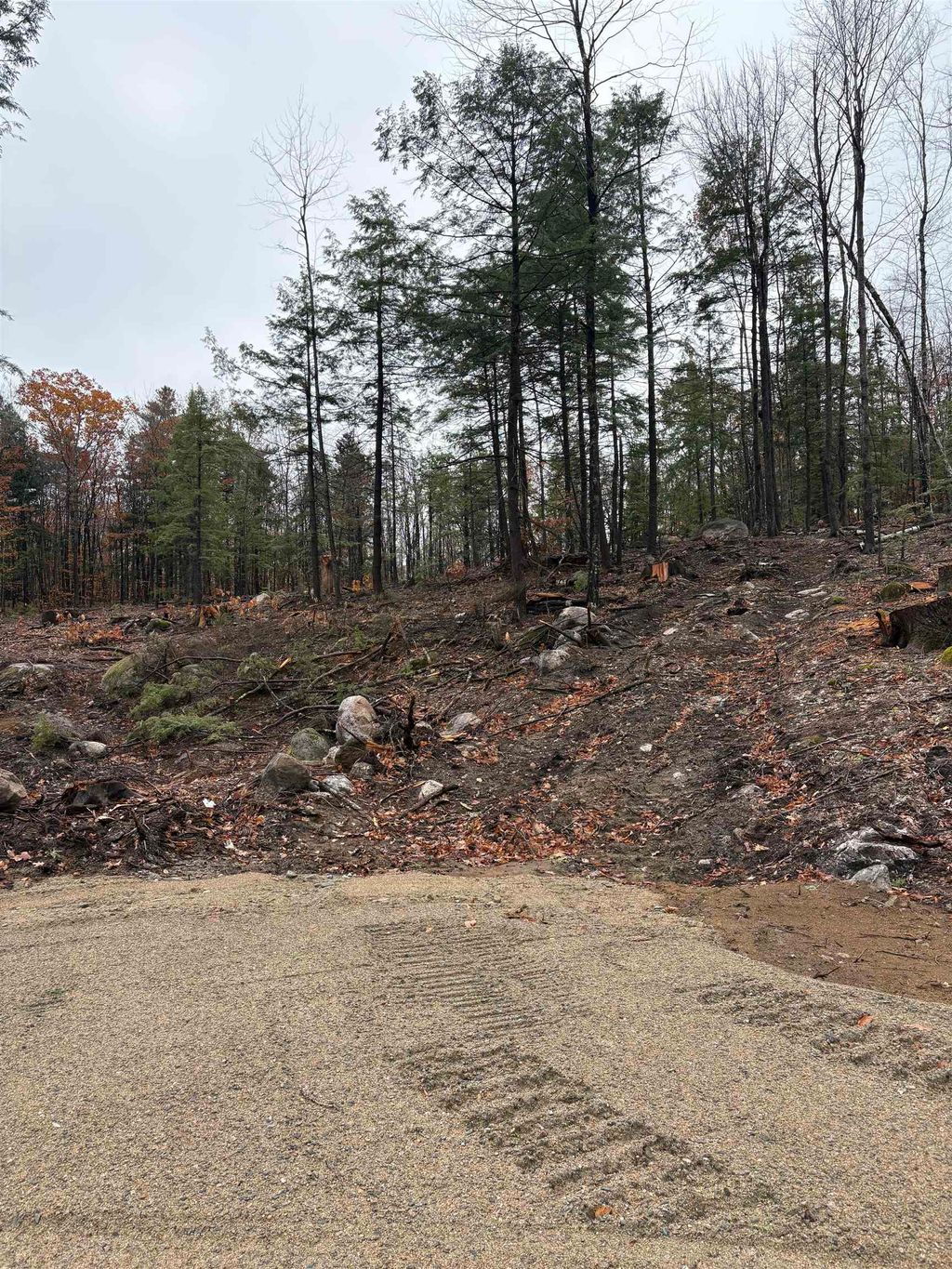 Photo of 12 Sugarloaf Drive #10, Ossipee, NH 03814 (MLS # 5069146)