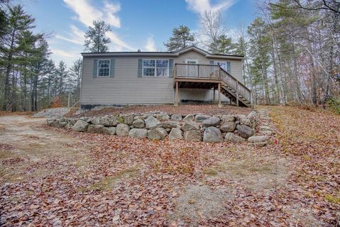 Photo of 375 Pine River Road, Effingham, NH 03882 (MLS # 5069630)