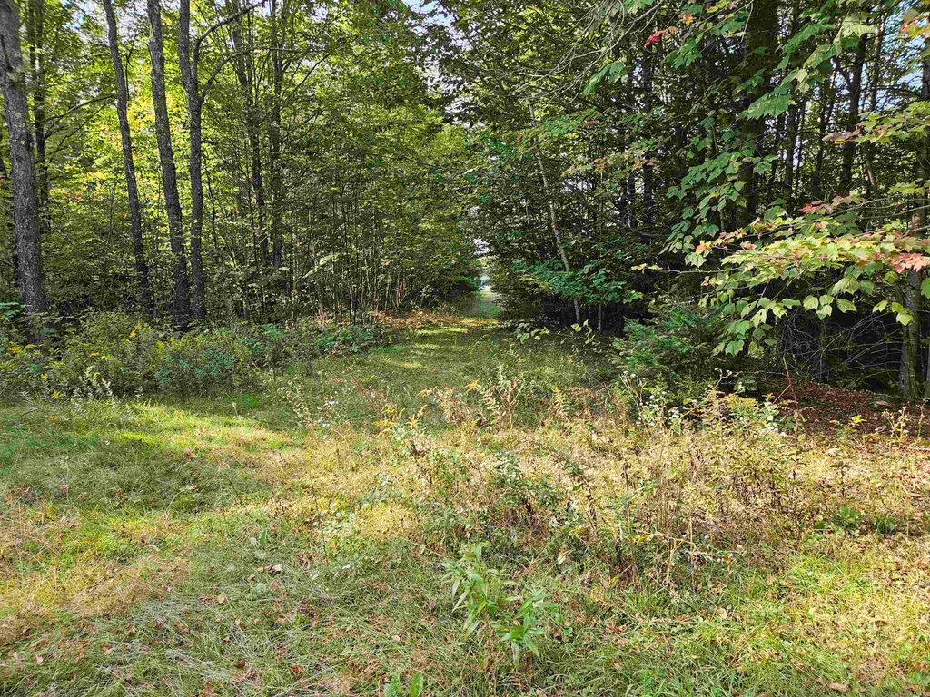 Photo of 1476 Profile Road, Franconia, NH 03580 (MLS # 5070724)