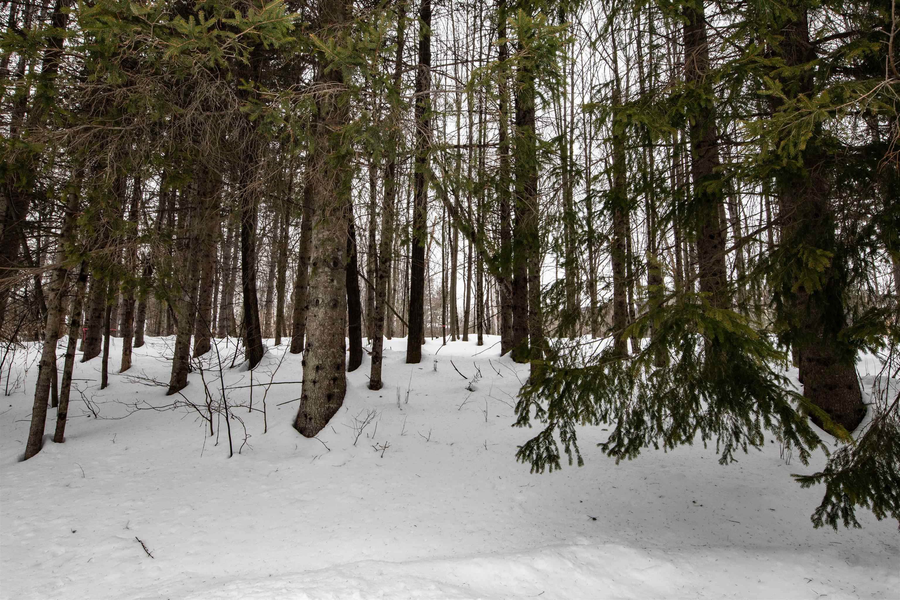 00 Okemo Acres Lot #8
