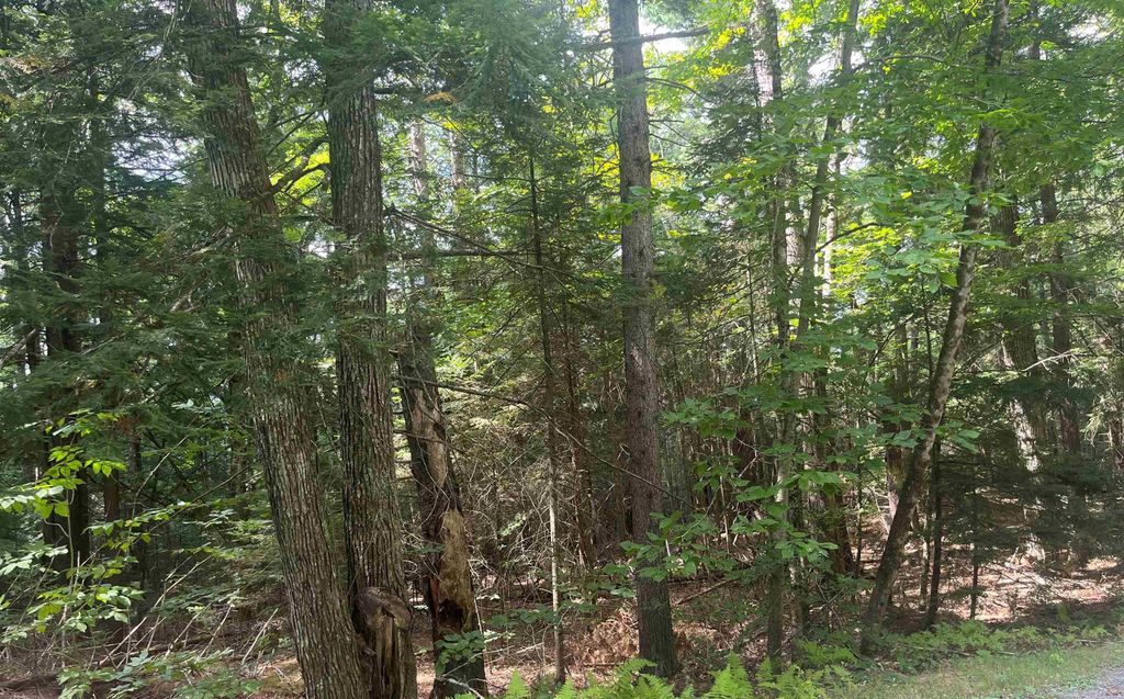 Photo of 50 Longwood Drive, Grantham, NH 03753 (MLS # 5057099)