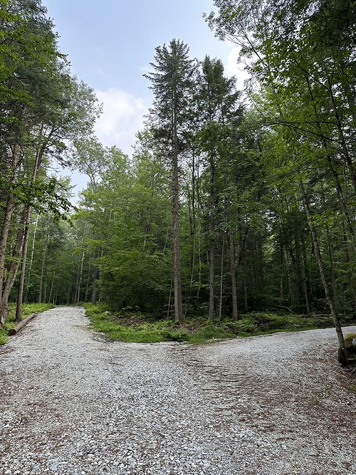 24 Benton Drive Lot #5