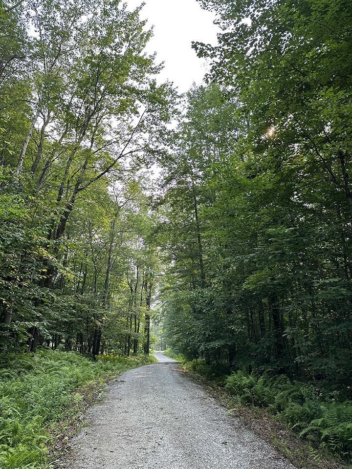 24 Benton Drive Lot #5