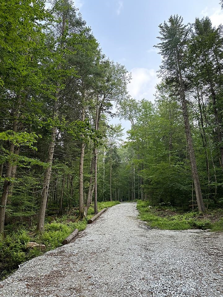 24 Benton Drive Lot #5