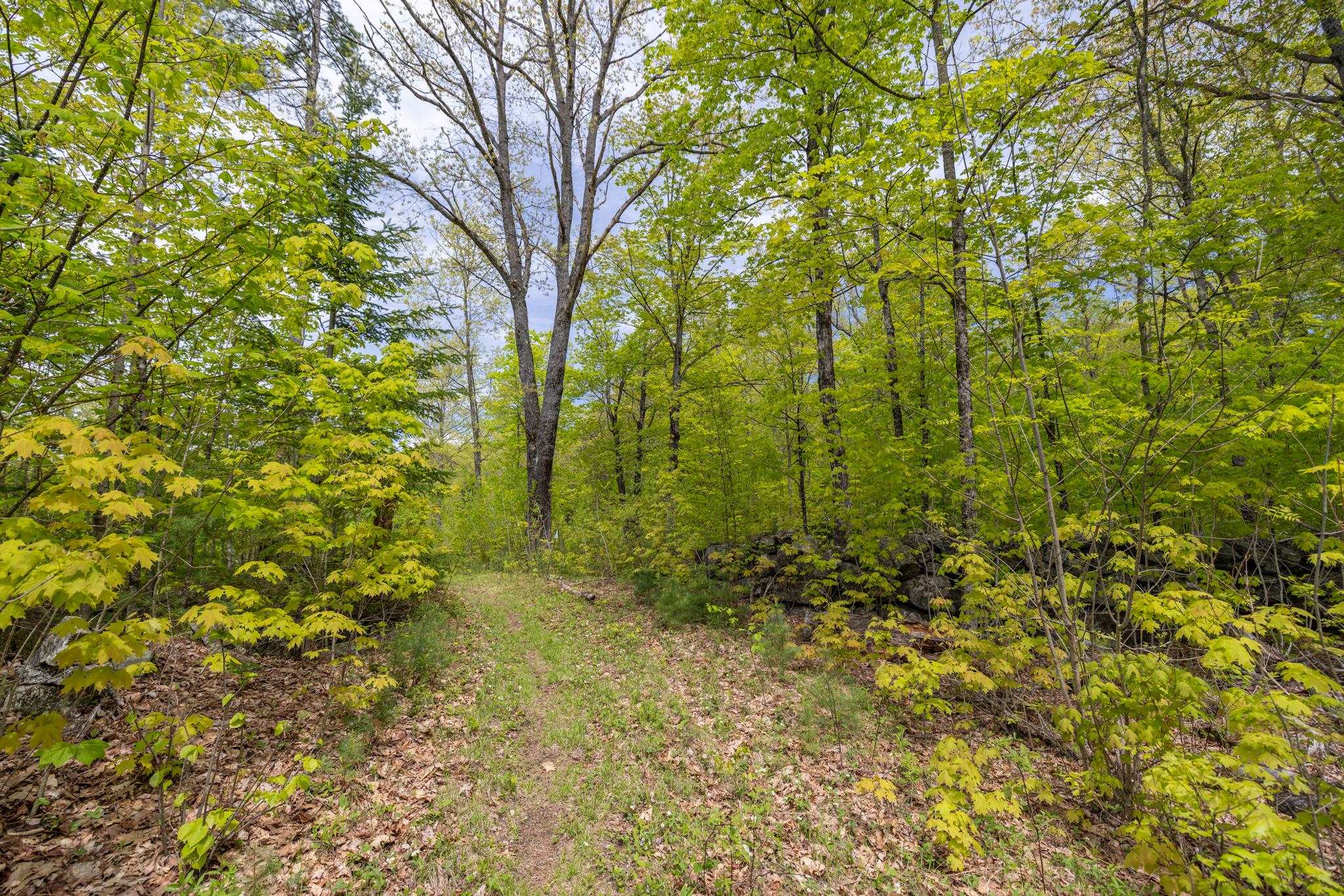 Map 7, Lot 8 Patterson Road