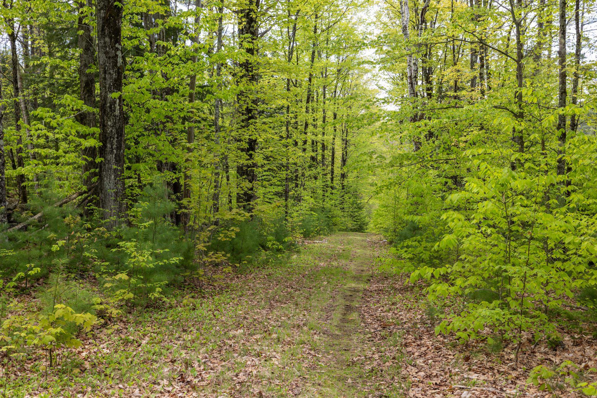 Map 7, Lot 8 Patterson Road