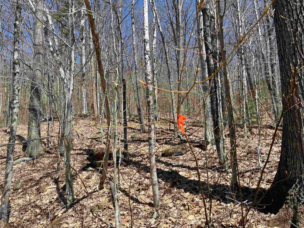 Photo of 16 Tobey Road, Campton, NH 03223 (MLS # 5073848)