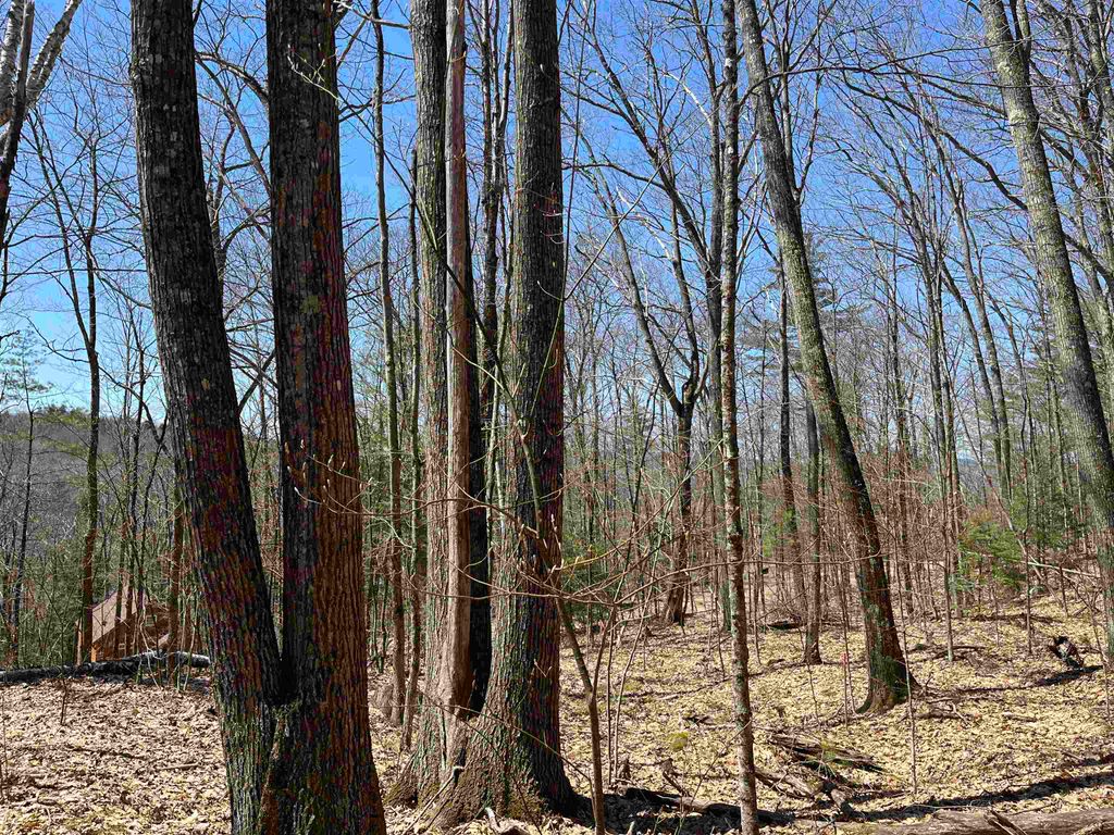 Photo of 16 Tobey Road, Campton, NH 03223 (MLS # 5073848)