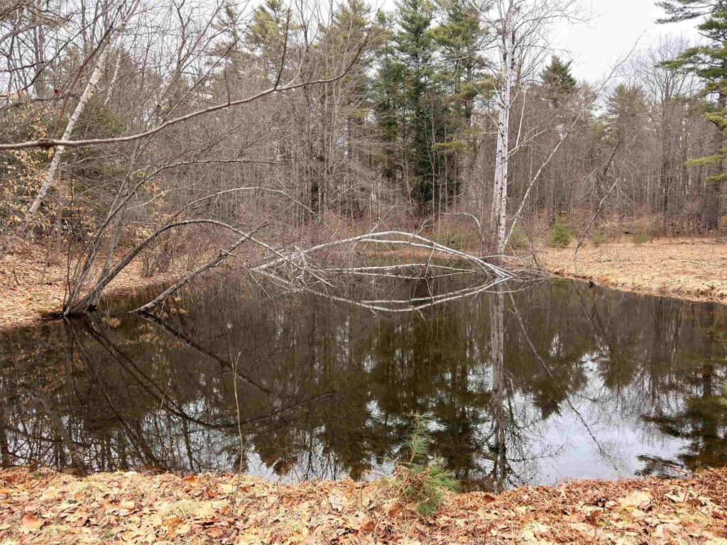 Photo of 702 Province Road, Belmont, NH 03220 (MLS # 5082050)