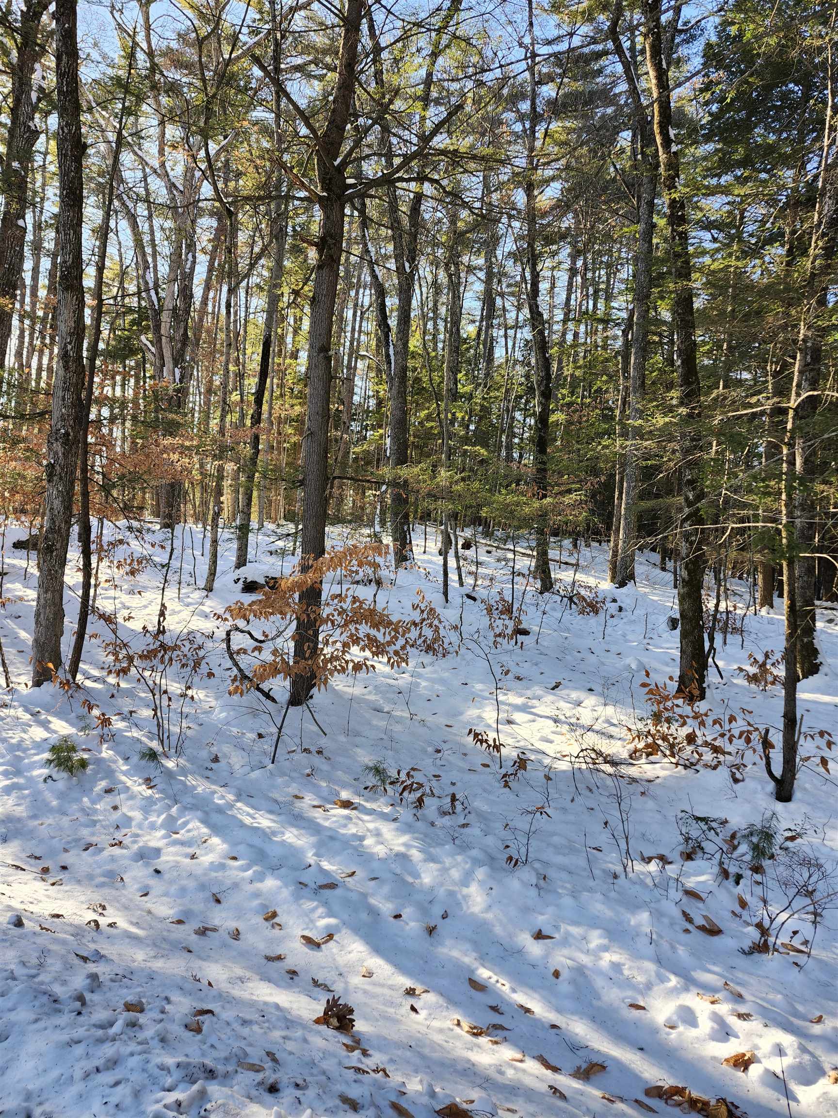 Lot 22 Cummings Cove Road