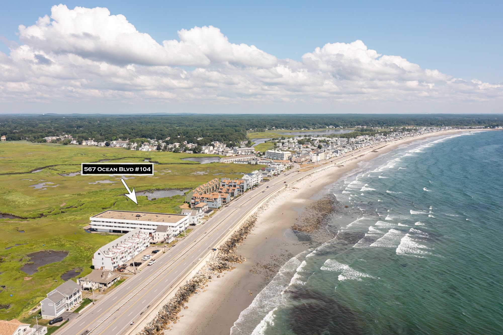 567 Ocean Boulevard 104