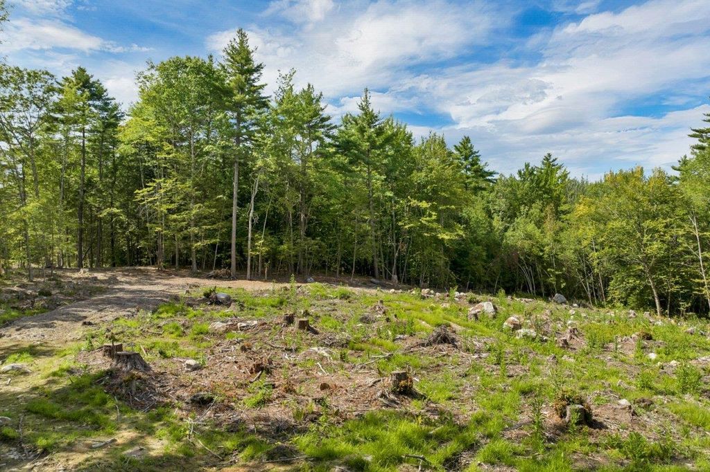 Photo of 26723 Winnipesaukee Drive, Wolfeboro, NH 03894 (MLS # 5079158)