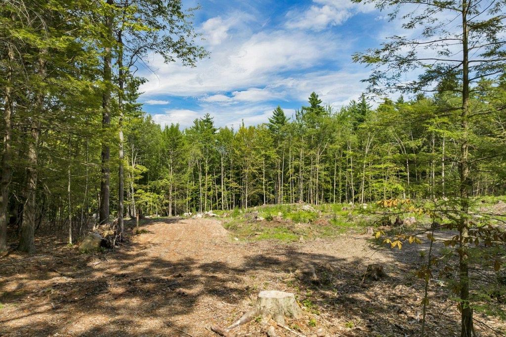 Photo of 26723 Winnipesaukee Drive, Wolfeboro, NH 03894 (MLS # 5079158)