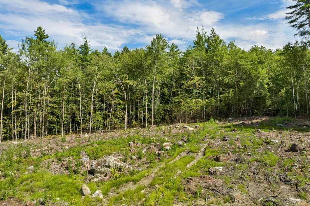 Photo of 26723 Winnipesaukee Drive, Wolfeboro, NH 03894 (MLS # 5079158)