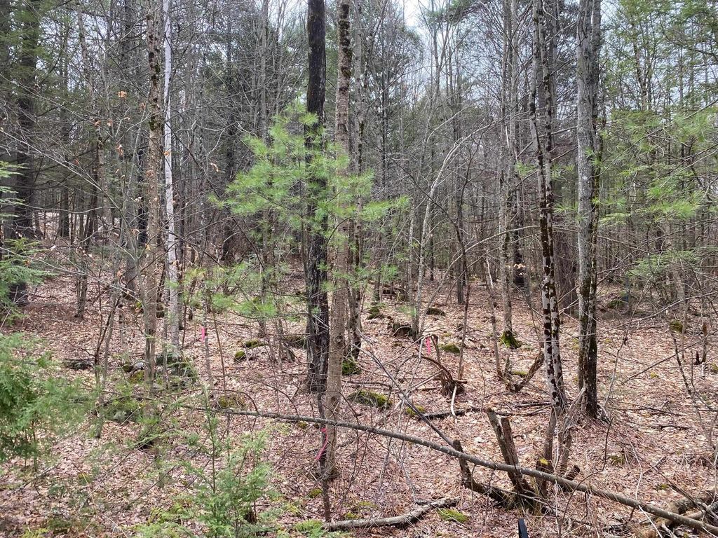 Photo of 00 Winnipesaukee Drive, Wolfeboro, NH 03894 (MLS # 5084218)