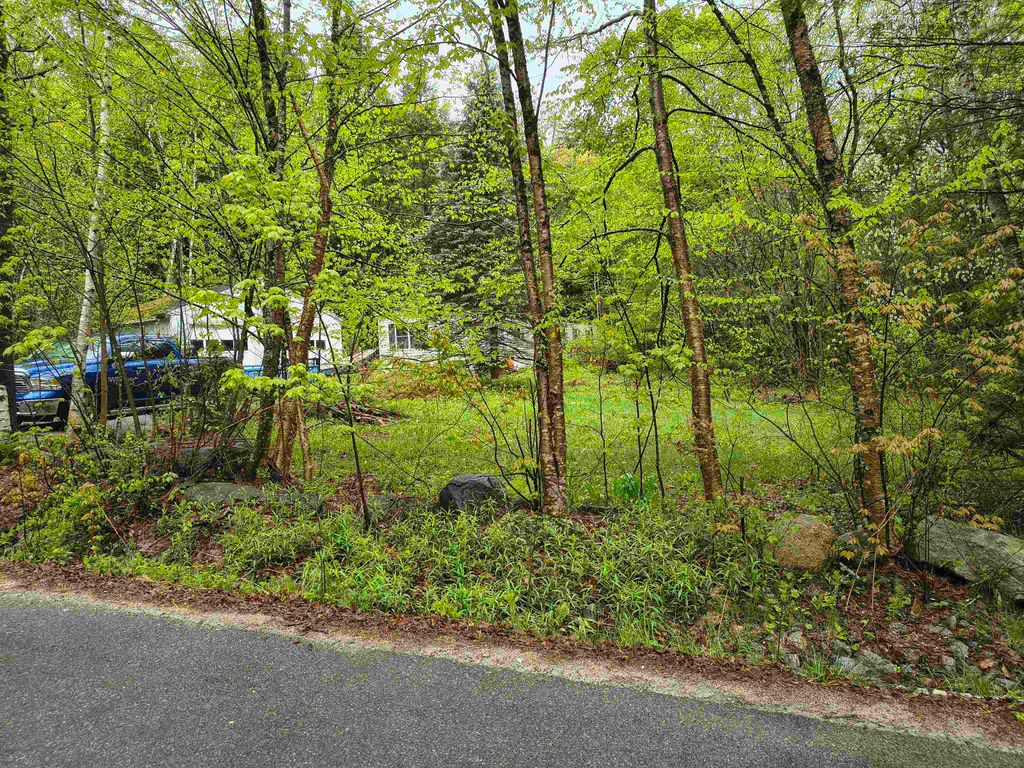 Photo of 106 Waldron Hill Road, Warner, NH 03278 (MLS # 5089862)