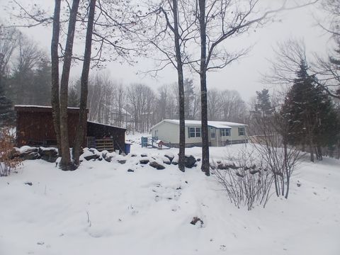 Photo of 386 Methodist Hill Road, Enfield, NH 03748 (MLS # 5071759)