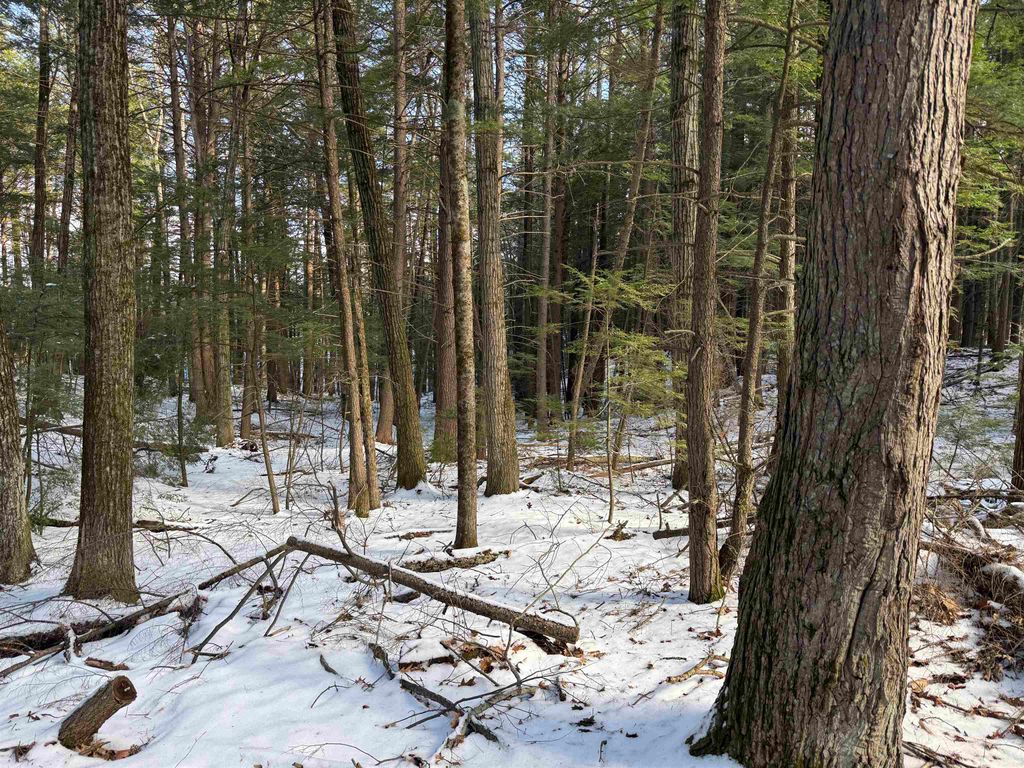 Photo of 1 Shady Lane #1, New Hampton, NH 03256 (MLS # 5080713)