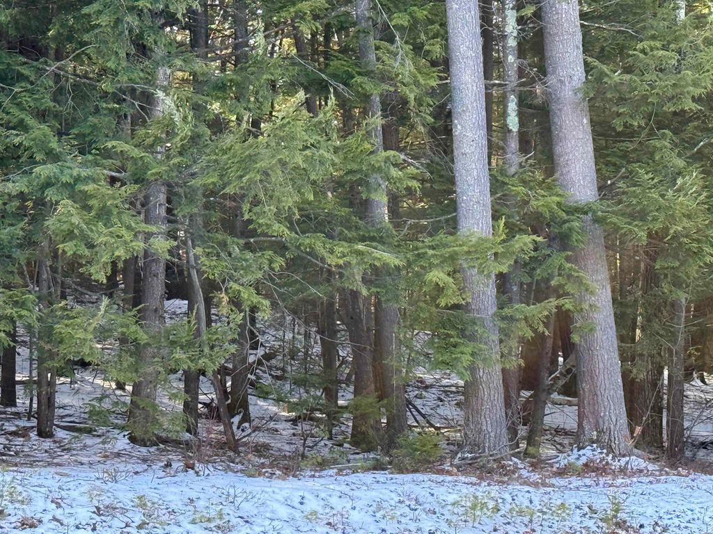 Photo of 1 Shady Lane #1, New Hampton, NH 03256 (MLS # 5080713)