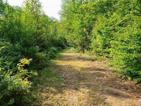 2 Pond Road 75 Moultonborough NH 03254