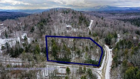 311 Beechwood Lane 19 Peru VT 05152