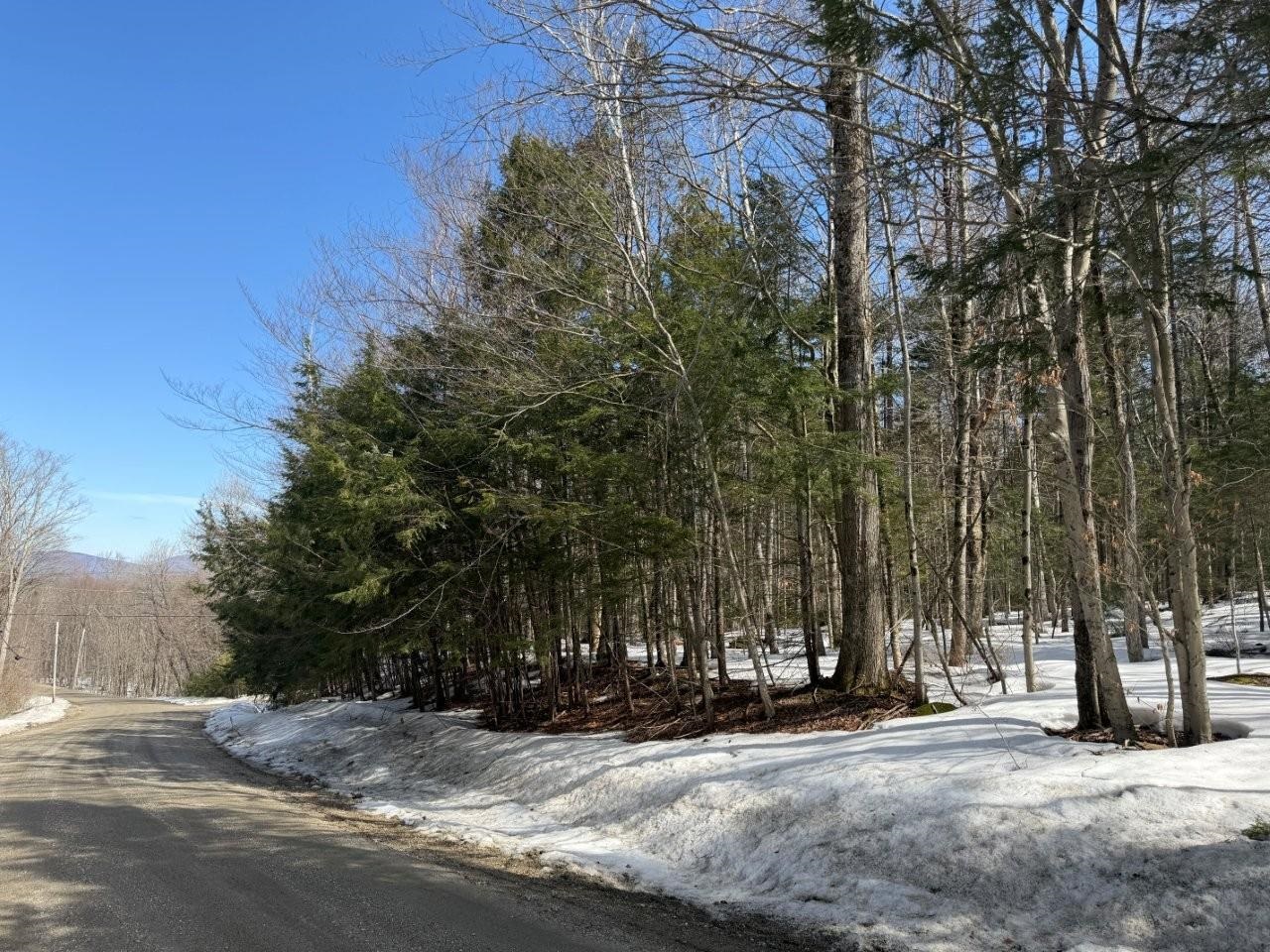 311 Beechwood Lane 19