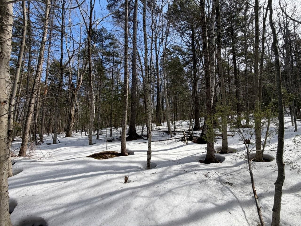 311 Beechwood Lane 19