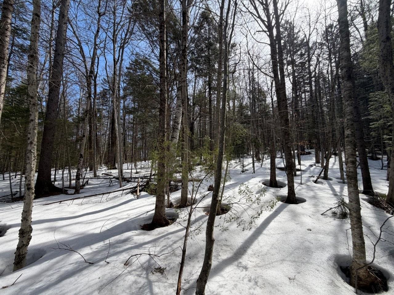 311 Beechwood Lane 19