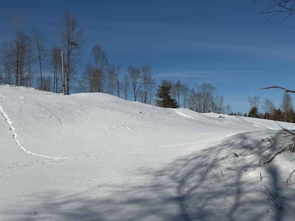 Photo of 0 Concord Road #U06-01A, Northfield, NH 03276 (MLS # 5076038)