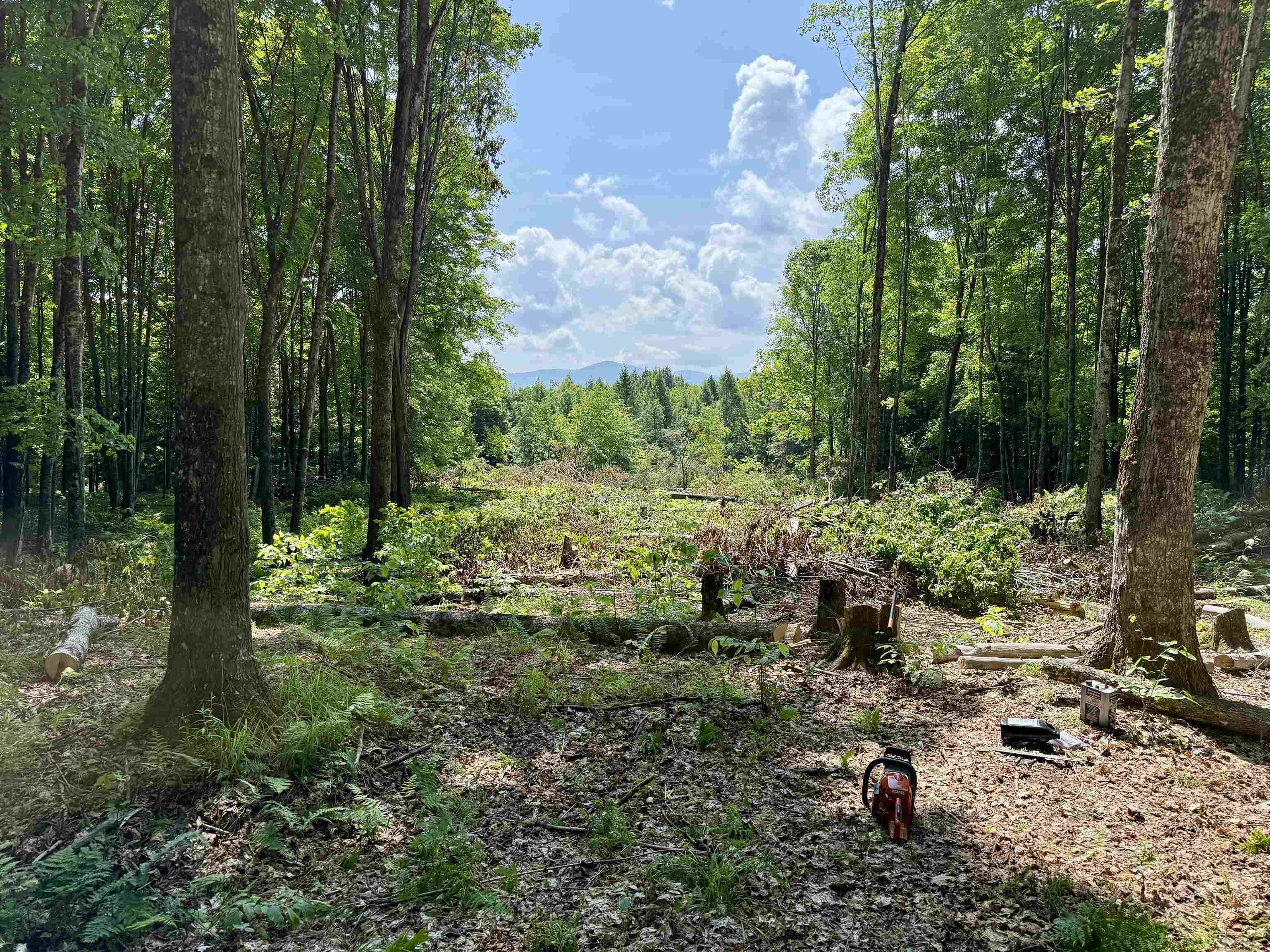 East Montpelier, Vermont 05651, United States, ,Land,Active,98589