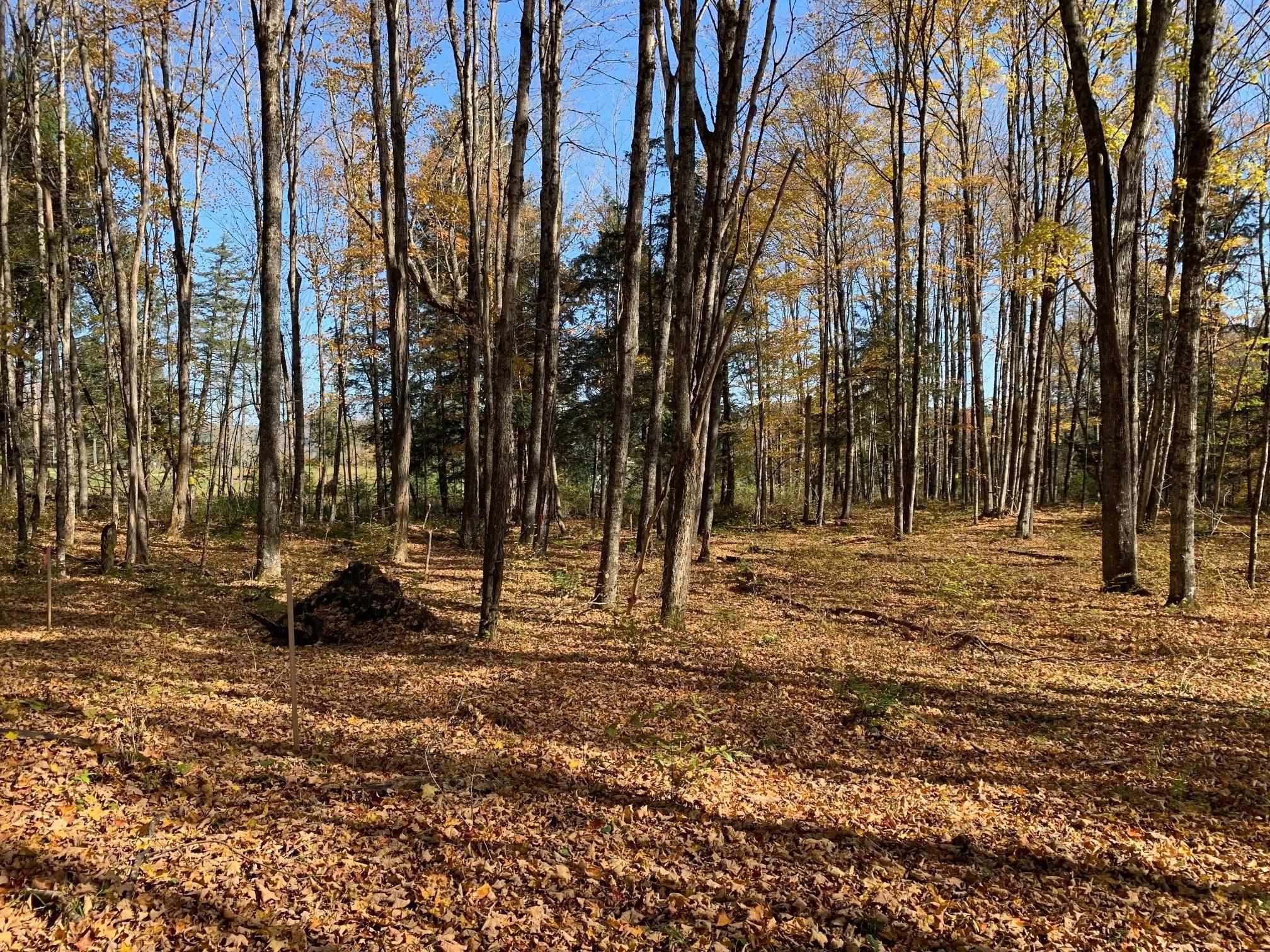 East Montpelier, Vermont 05651, United States, ,Land,Active,98589