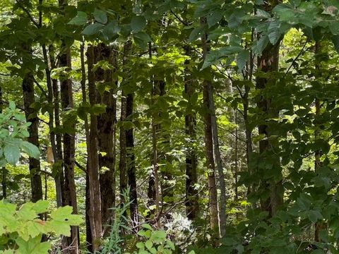 VT 14 Route Albany VT 05820