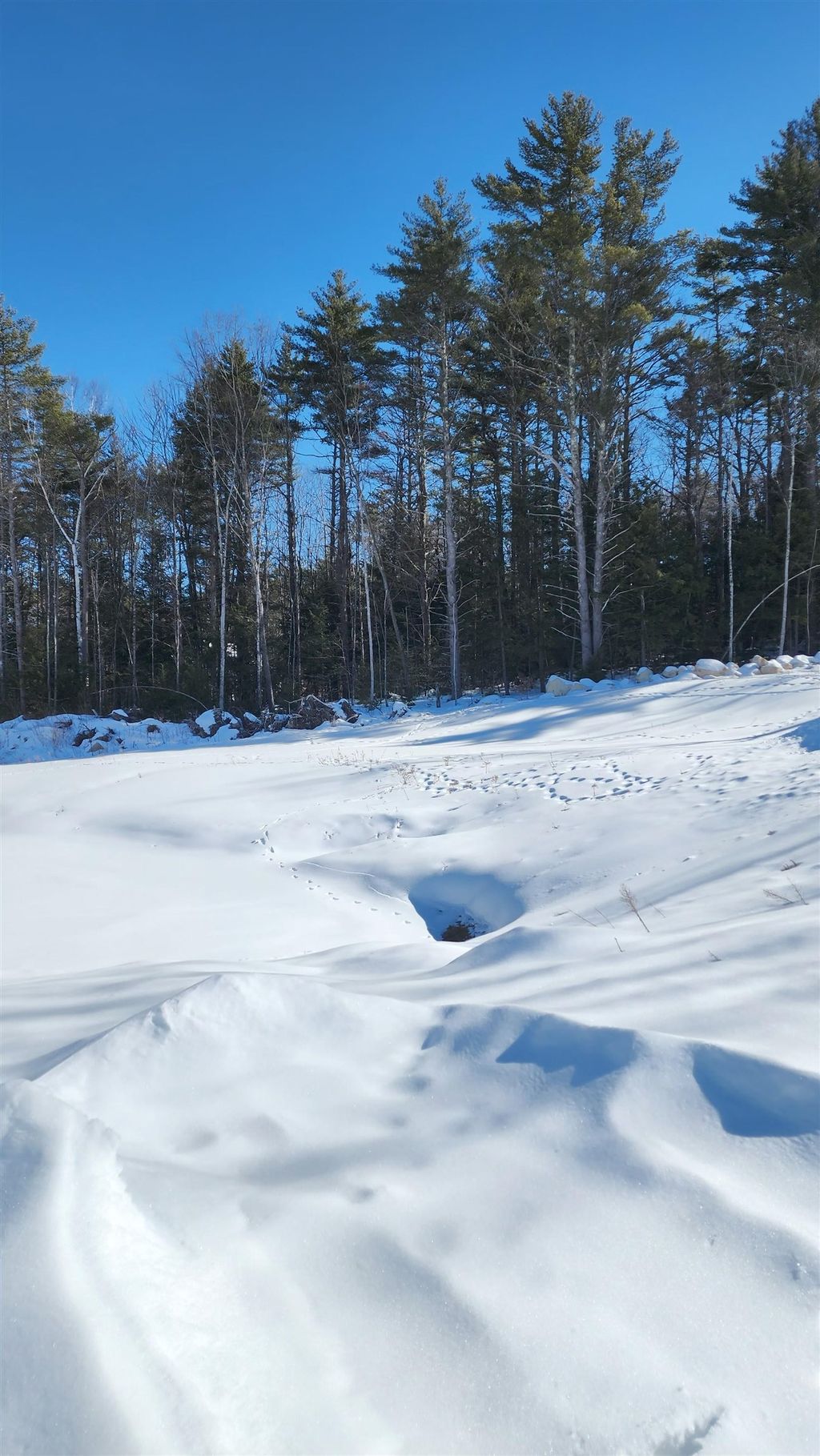 Photo of 449 N Wakefield Road, Wolfeboro, NH 03872 (MLS # 5077010)