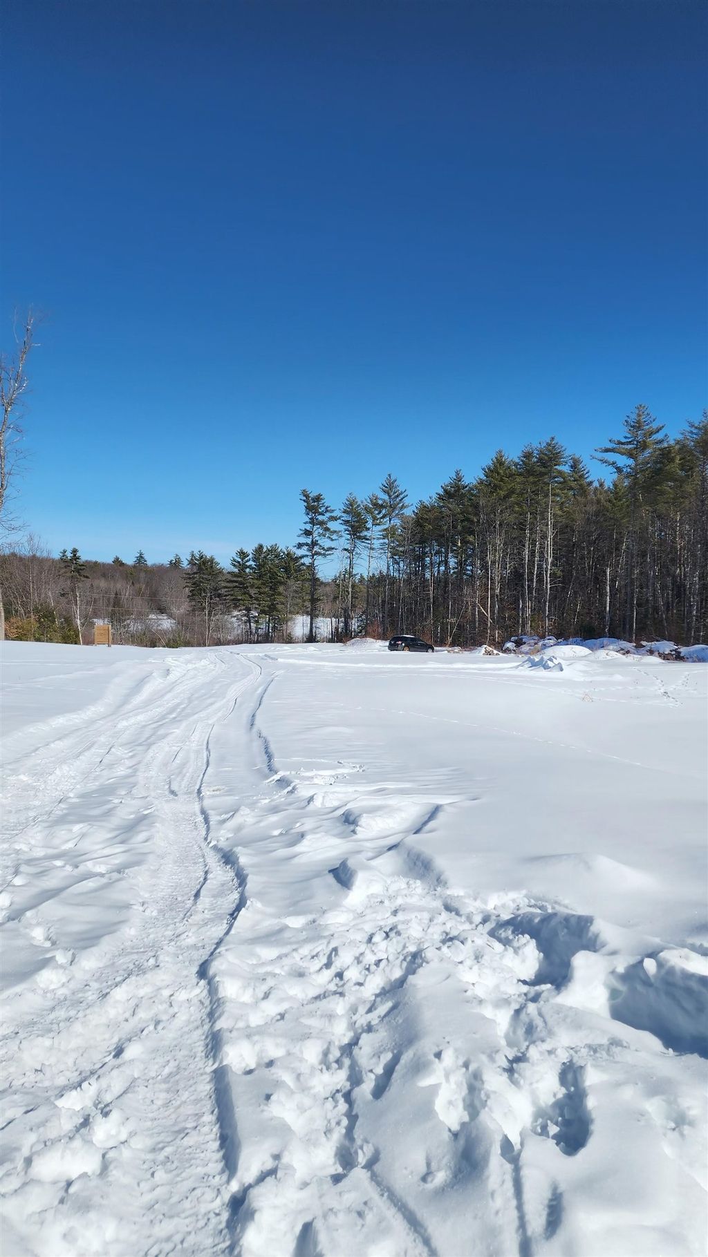 Photo of 449 N Wakefield Road, Wolfeboro, NH 03872 (MLS # 5077010)