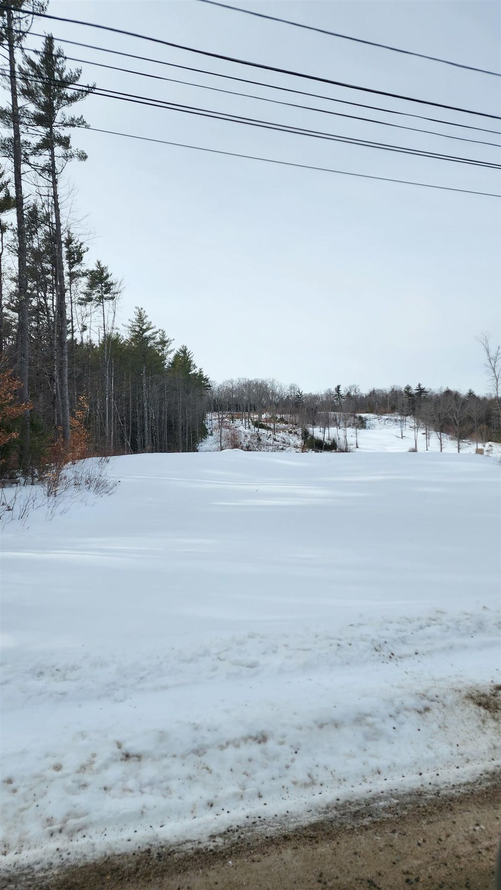 Photo of 449 N Wakefield Road, Wolfeboro, NH 03872 (MLS # 5077010)