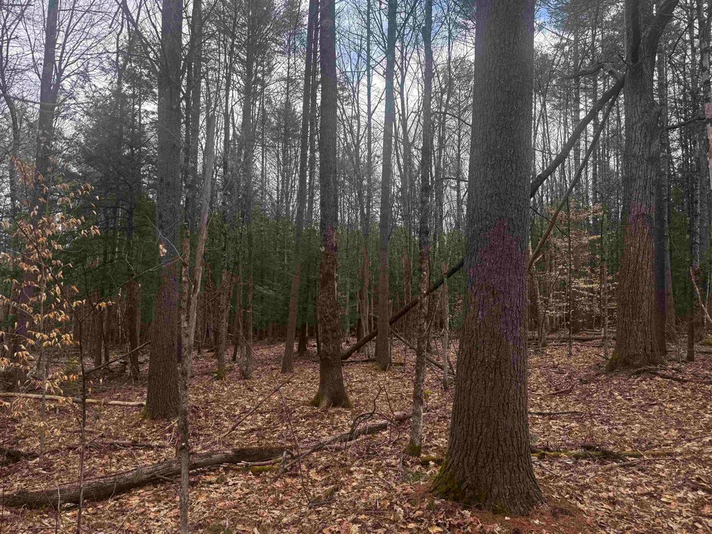 Photo of 00 Chapman Road, Keene, NH 03431 (MLS # 5082666)