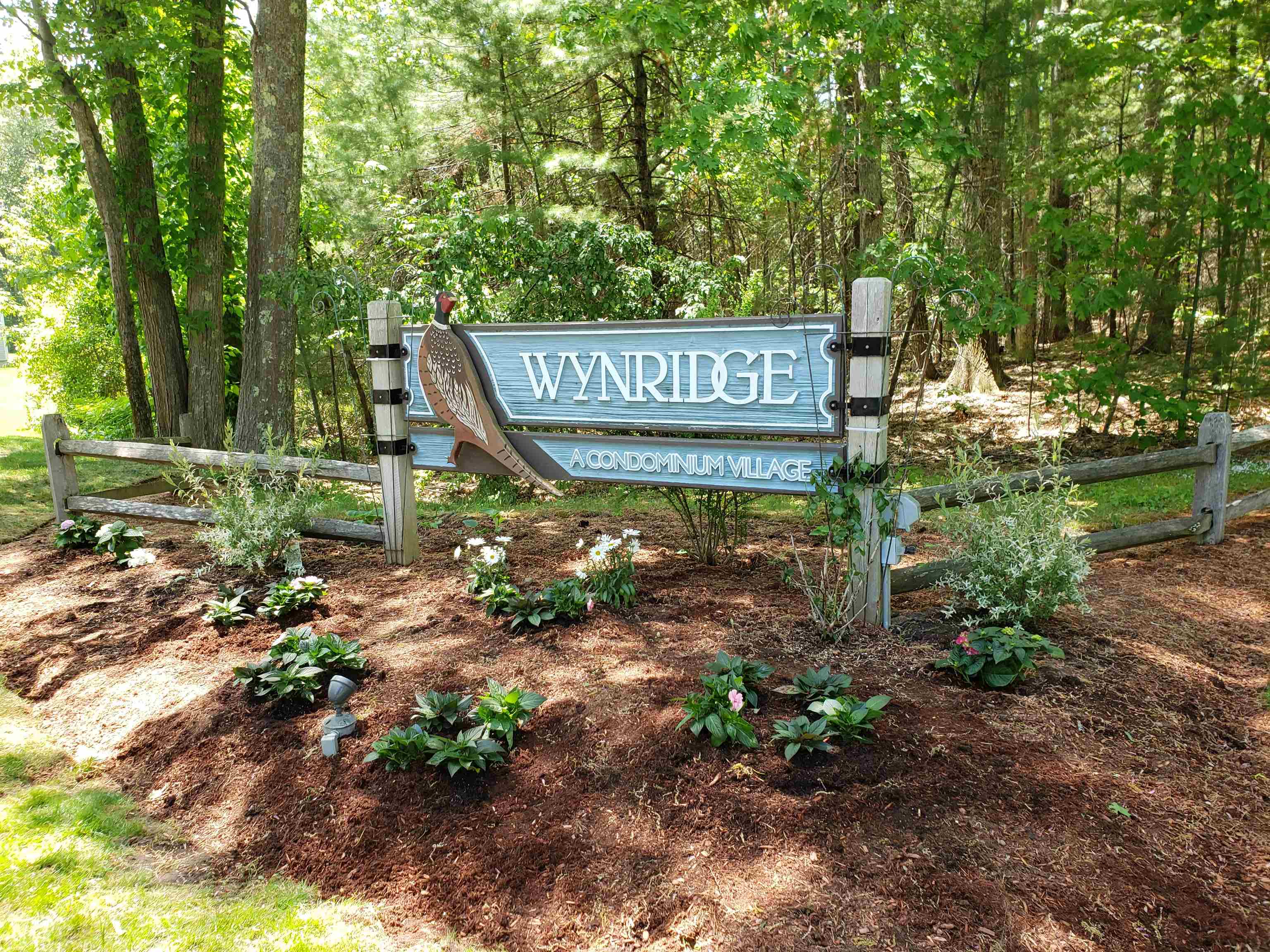 7 Wynridge Road