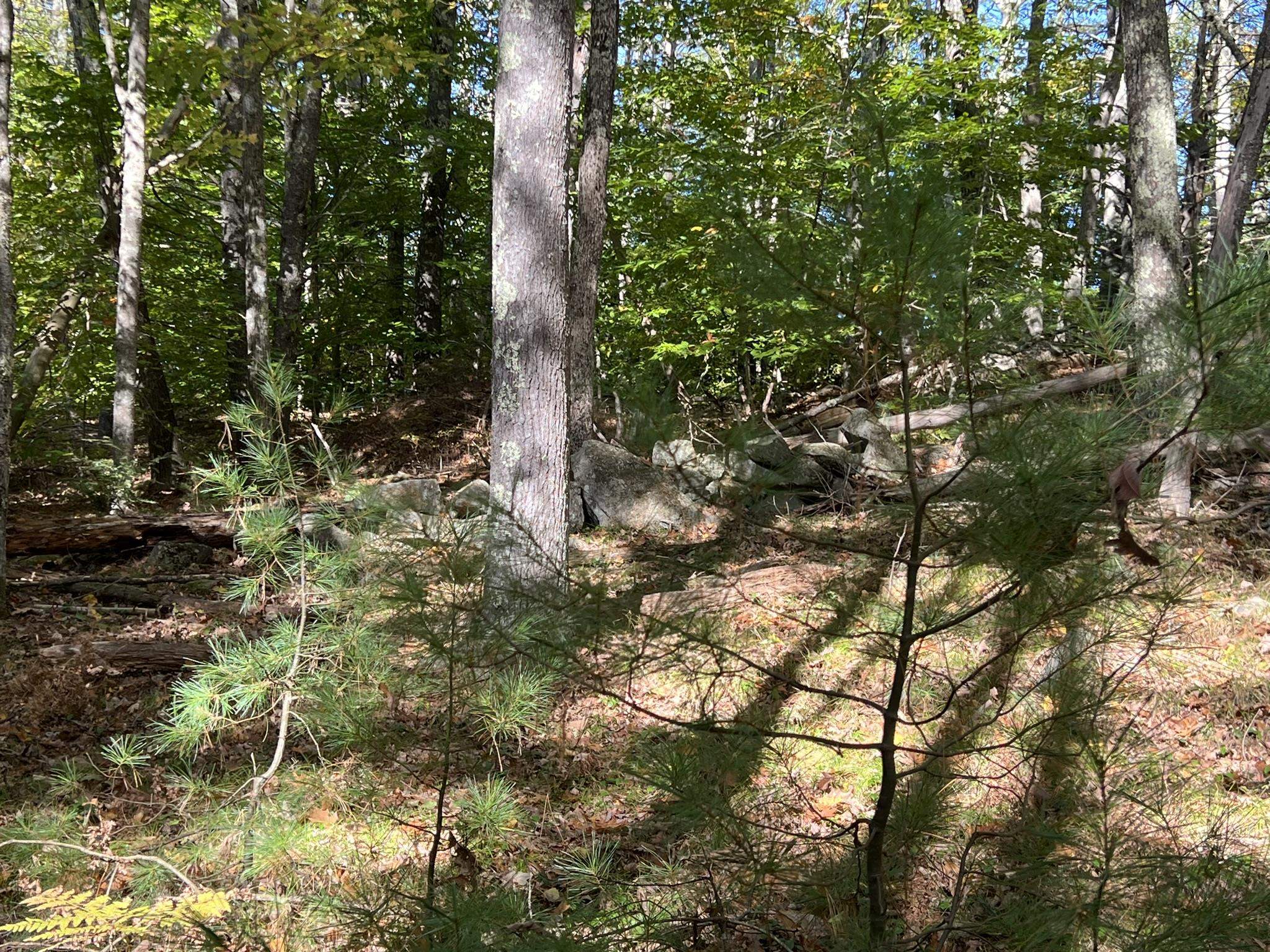 Map 216 1st NH Turnpike 12