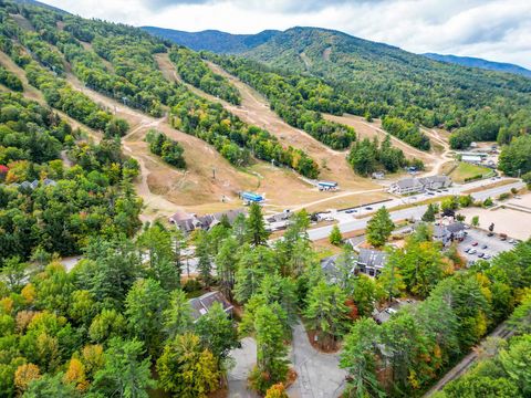 2E/F River Run Drive E/F Bartlett NH 03812